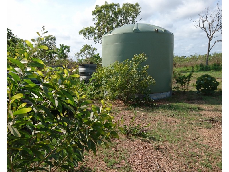 Batchelor NT 0845
