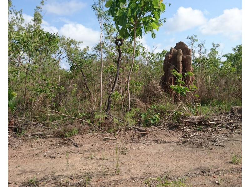 Batchelor NT 0845