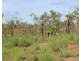 Batchelor NT 0845