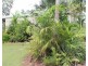 Batchelor NT 0845