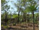 Batchelor NT 0845