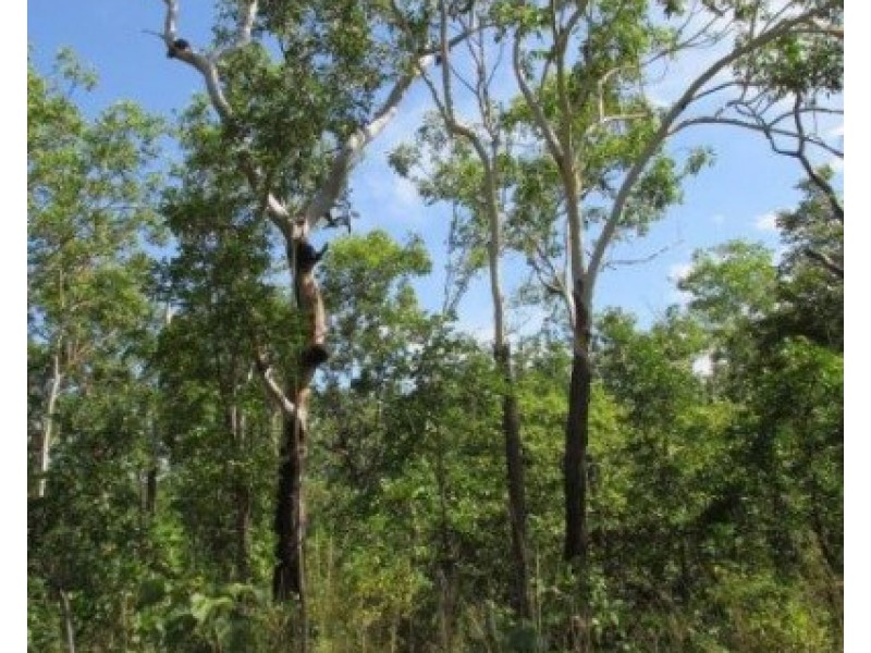 Marrakai NT 0822