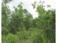 Marrakai NT 0822