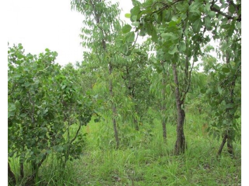 Marrakai NT 0822