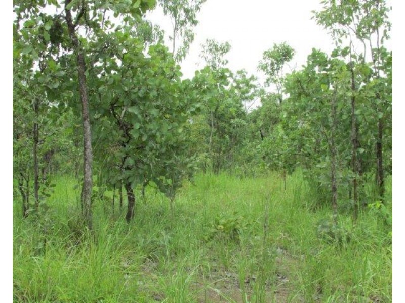 Marrakai NT 0822