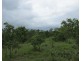 Marrakai NT 0822