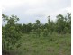 Marrakai NT 0822