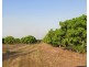 48 Scott Road, Batchelor NT 0845