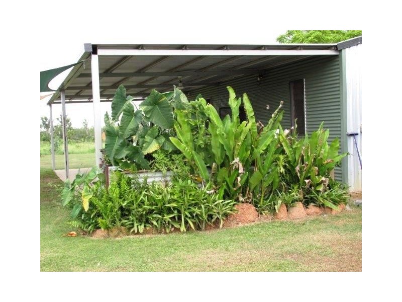 Darwin River NT 0841