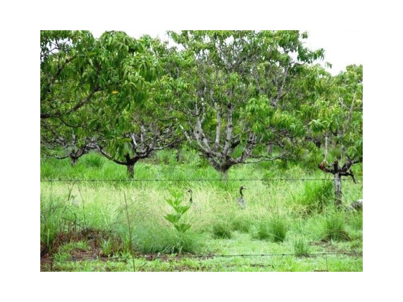 Darwin River NT 0841