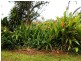290a Darwin River Road, Darwin River NT 0841