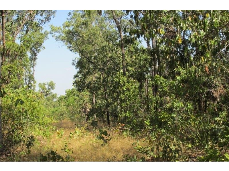 3493 Fog Bay Road, Dundee Forest NT 0840