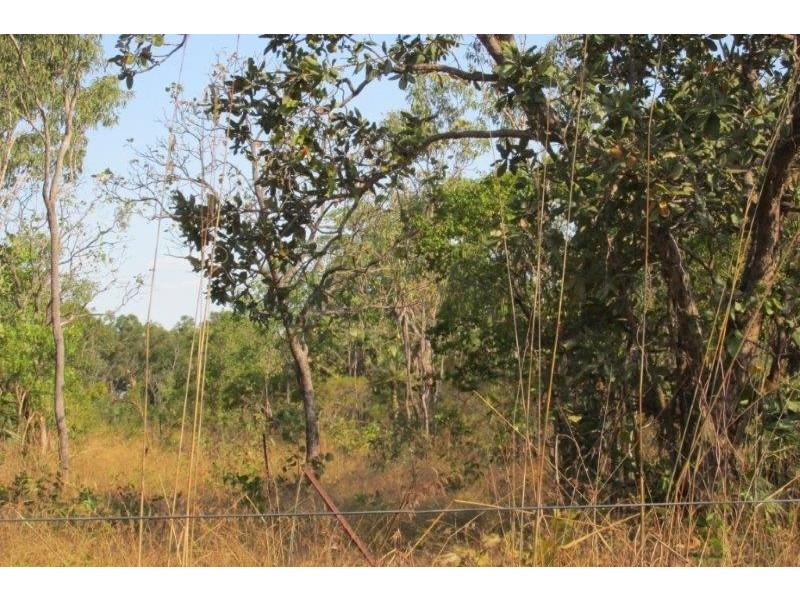 3493 Fog Bay Road, Dundee Forest NT 0840