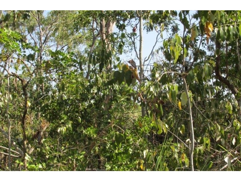 3493 Fog Bay Road, Dundee Forest NT 0840