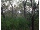 3499 Fog Bay Road, Dundee Forest NT 0840