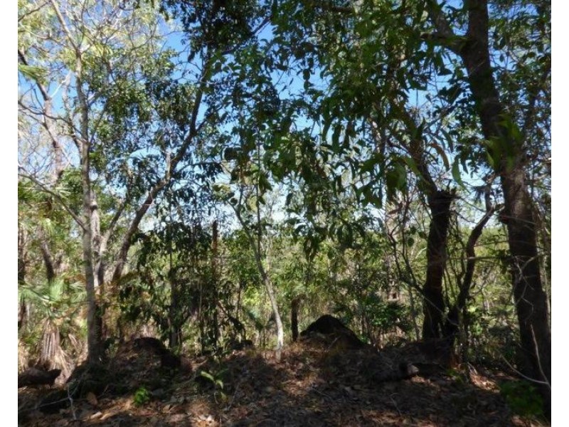 3499 Fog Bay Road, Dundee Forest NT 0840