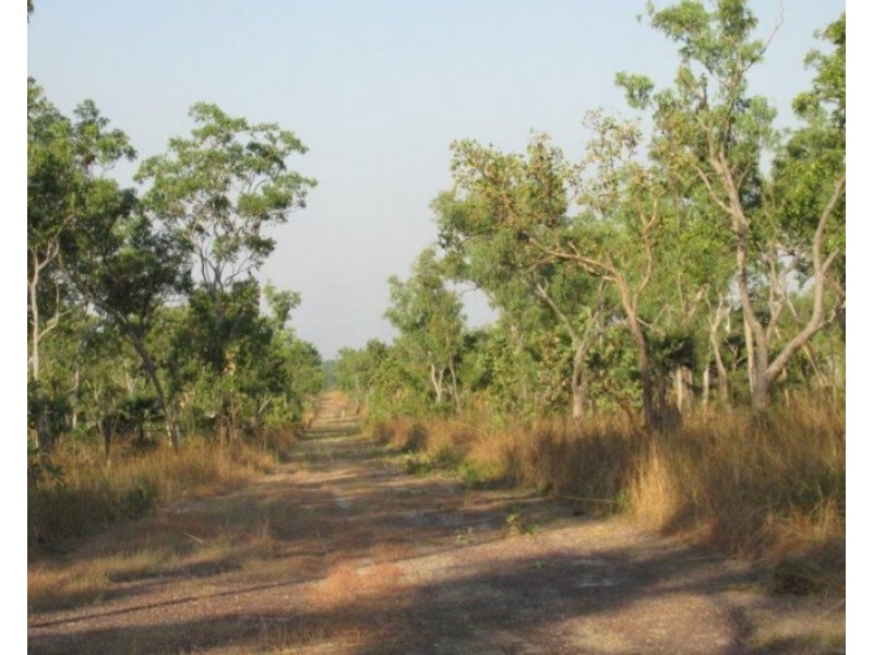 Lot 3004,  Litchfield Park Road, Batchelor NT 0845