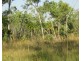 Lot 3004,  Litchfield Park Road, Batchelor NT 0845