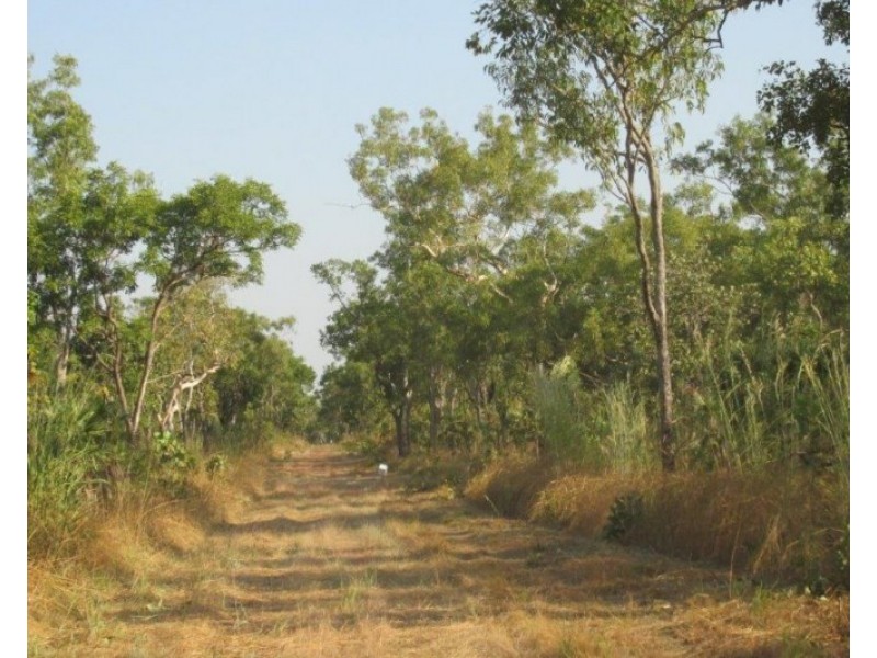 Lot 3004,  Litchfield Park Road, Batchelor NT 0845