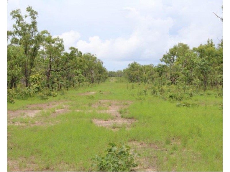 Lot 3004,  Litchfield Park Road, Batchelor NT 0845