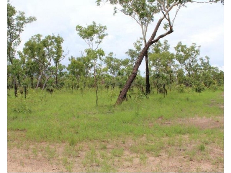 Lot 3004,  Litchfield Park Road, Batchelor NT 0845