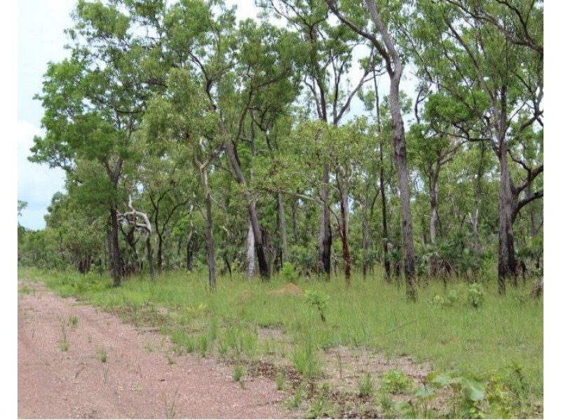 Lot 3004,  Litchfield Park Road, Batchelor NT 0845