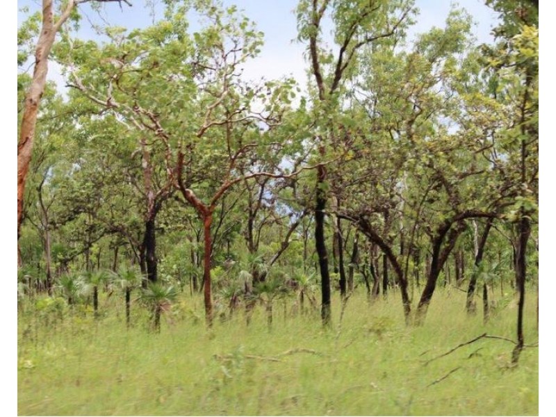 Lot 3004,  Litchfield Park Road, Batchelor NT 0845