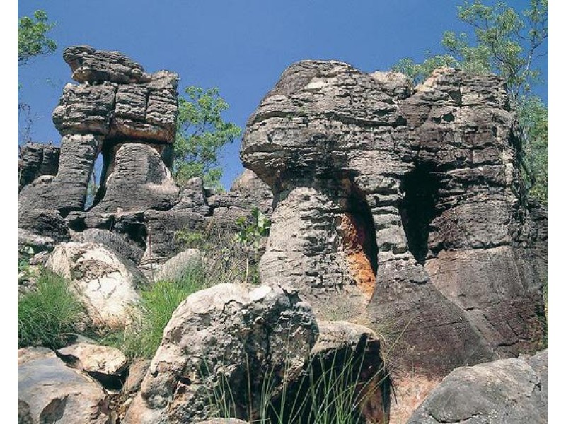 Lot 3004,  Litchfield Park Road, Batchelor NT 0845