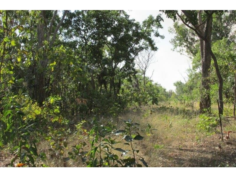 3492 Fog Bay Road, Dundee Forest NT 0840