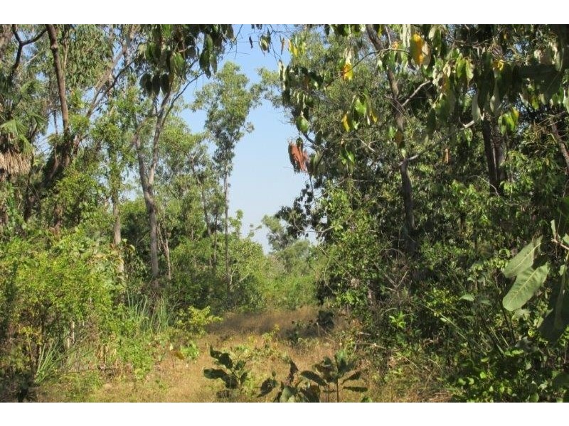 3492 Fog Bay Road, Dundee Forest NT 0840