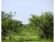 Lot 1268 Coach Road, Batchelor NT 0845