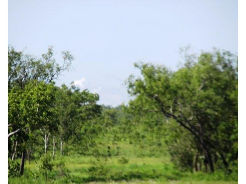 Lot 1268 Coach Road, Batchelor NT 0845