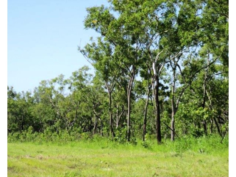 Lot 1268 Coach Road, Batchelor NT 0845