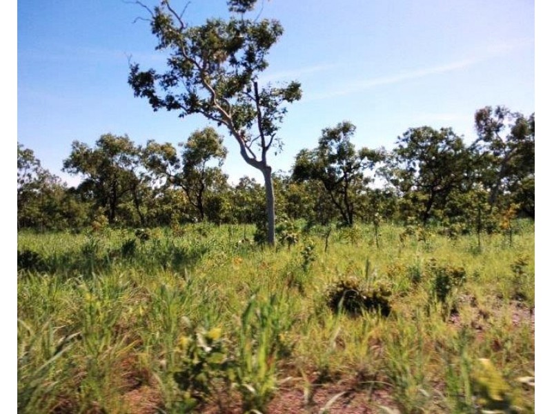 Lot 1268 Coach Road, Batchelor NT 0845