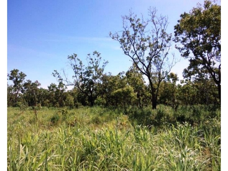 Lot 1268 Coach Road, Batchelor NT 0845