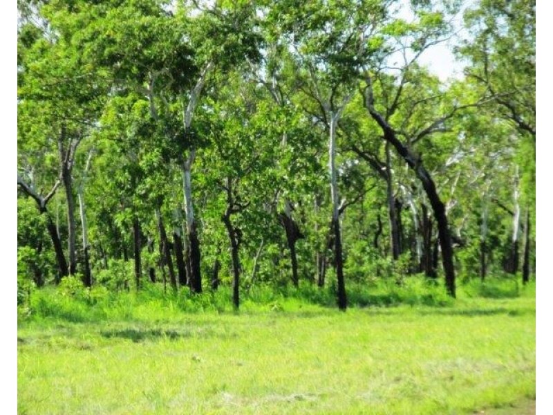 Lot 1268 Coach Road, Batchelor NT 0845