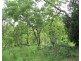 Coomalie Creek NT 0845