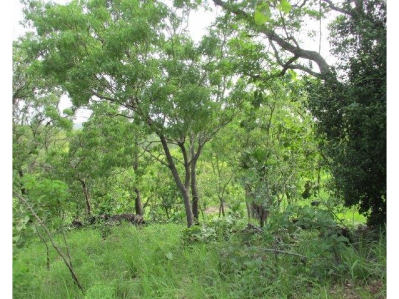 Coomalie Creek NT 0845