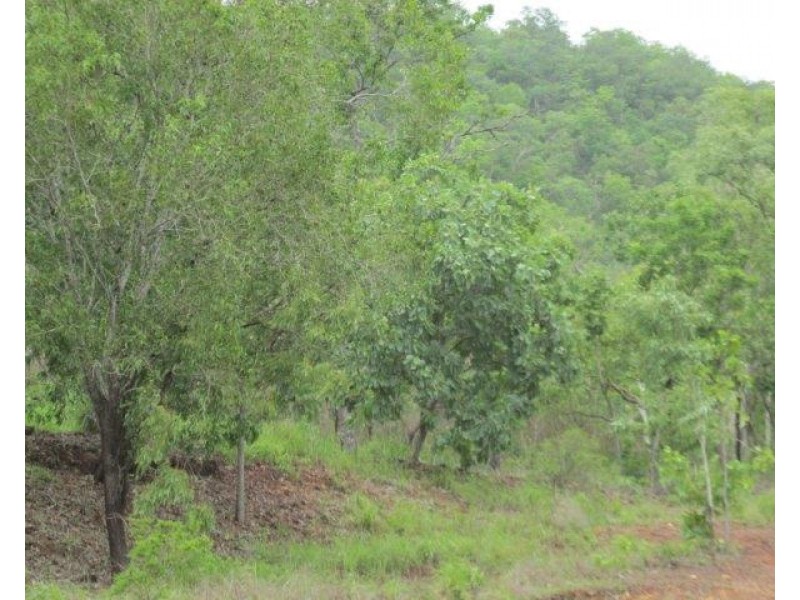 Coomalie Creek NT 0845