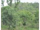 Coomalie Creek NT 0845