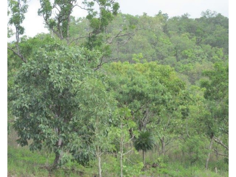 Coomalie Creek NT 0845