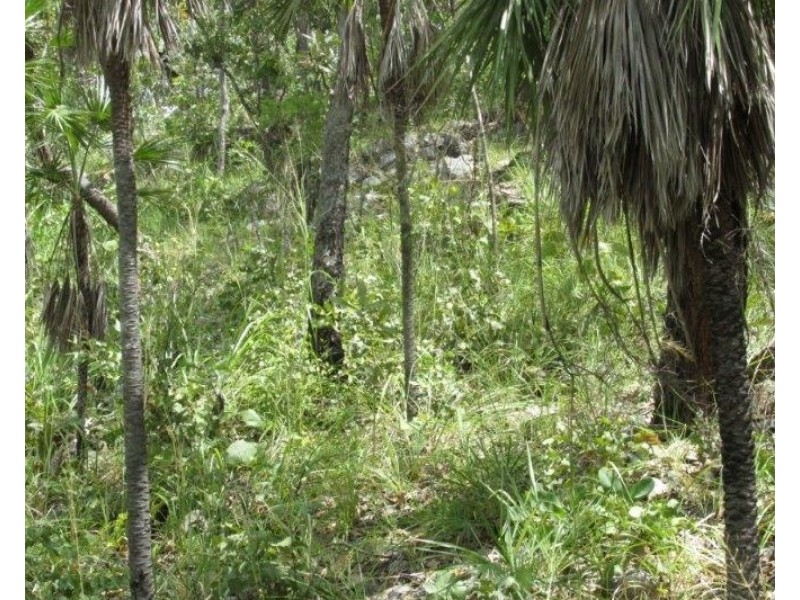 Coomalie Creek NT 0845