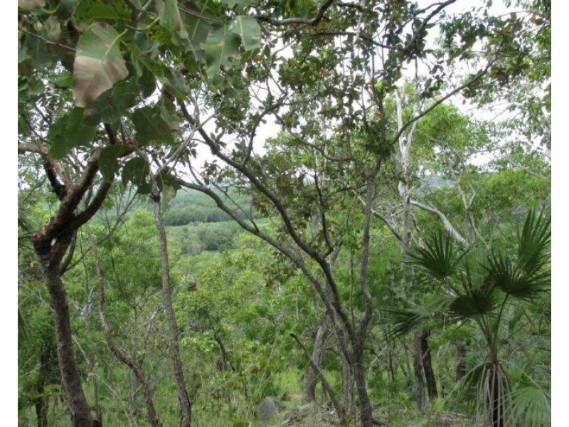 Coomalie Creek NT 0845