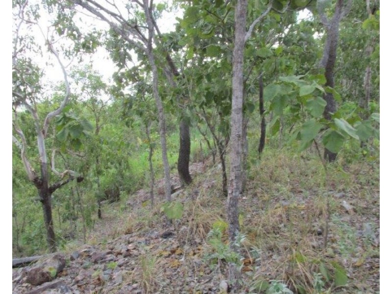Coomalie Creek NT 0845