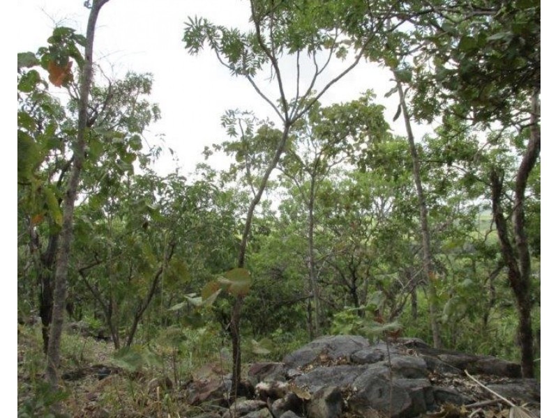 Coomalie Creek NT 0845