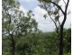 Coomalie Creek NT 0845