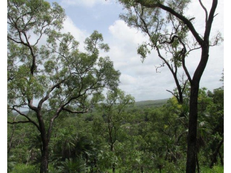 Coomalie Creek NT 0845