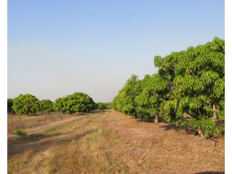 lot 3009 Scott Road, Batchelor NT 0845