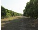 lot 3009 Scott Road, Batchelor NT 0845