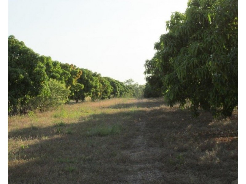 lot 3009 Scott Road, Batchelor NT 0845